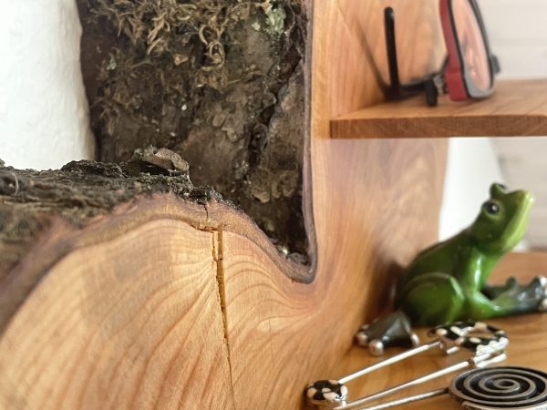 Brillen- und Schmuckregal Splash – Bild 6